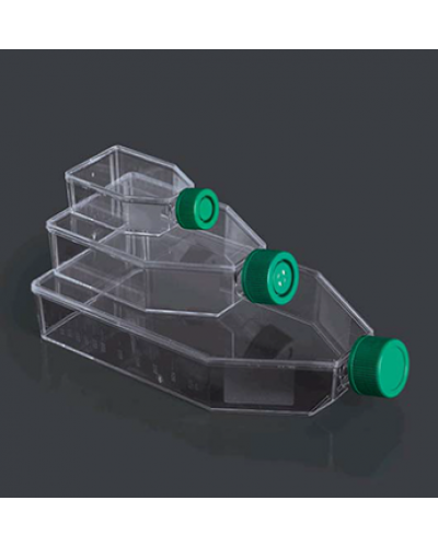 Bình nuôi cấy mô Isolab﻿